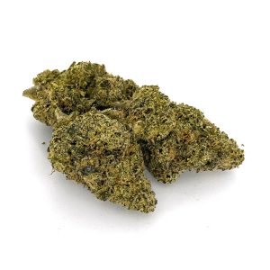 Alternative view of LA Pop Rockz