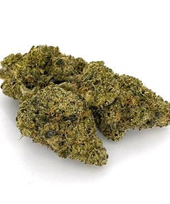 Alternative view of LA Pop Rockz